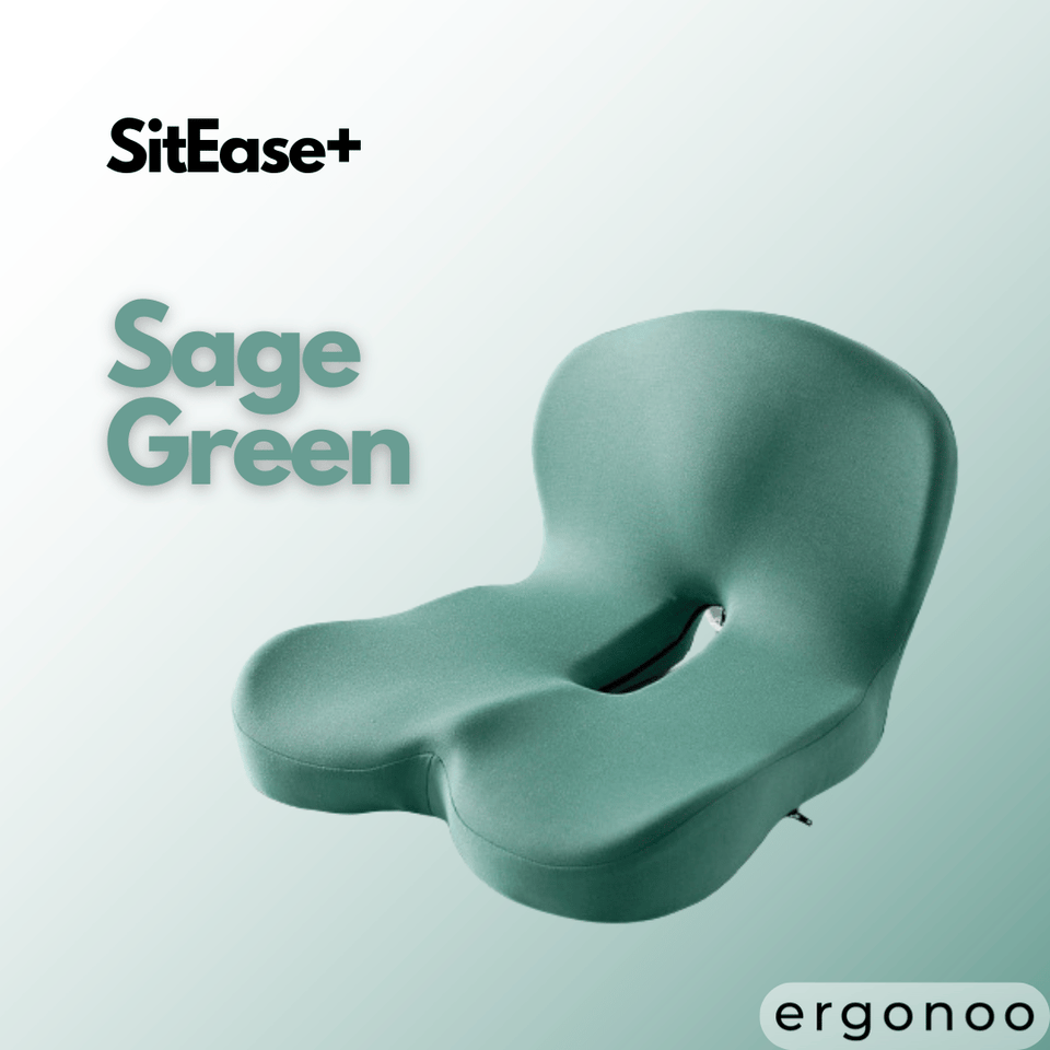 SitEase+ – Dein ergonomisches Sitzkissen